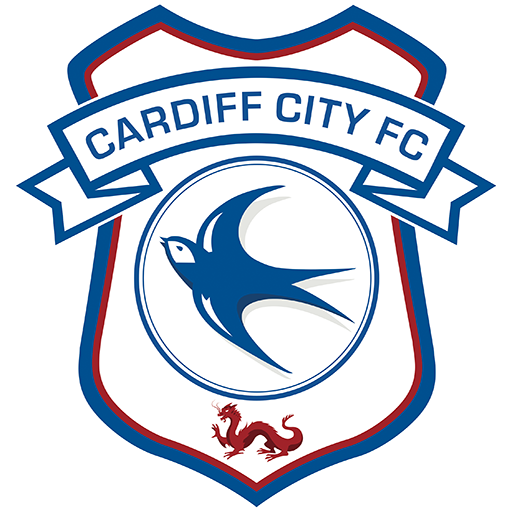 Cardiff badge