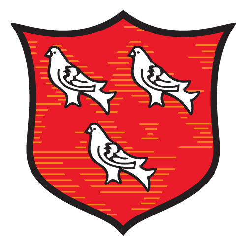 Dundalk logo
