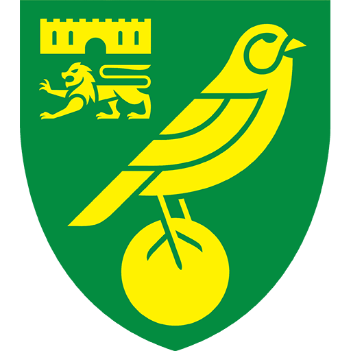 Norwich badge